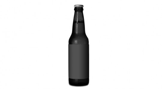 Beer Bottle Template