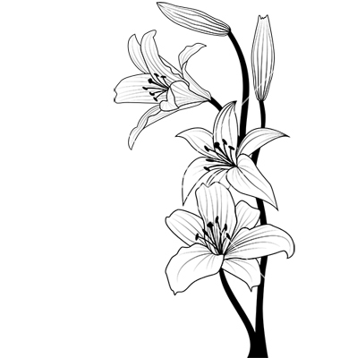 Black and White Lily Clip Art