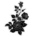 Black and White Rose Vector