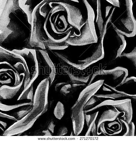 Black and White Rose Vector
