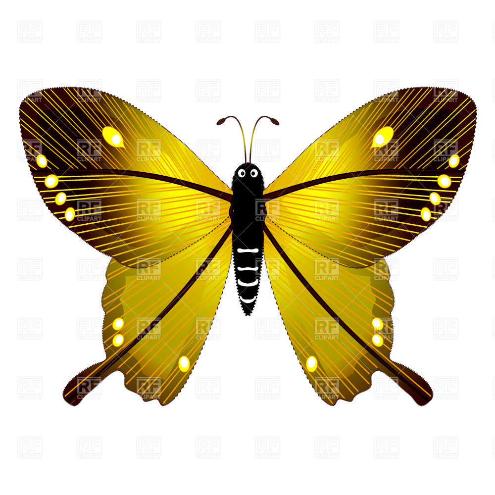 Butterfly Clip Art Free Download
