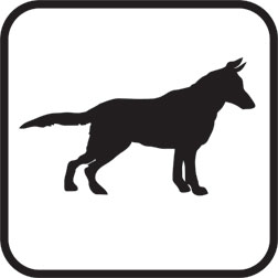 Dog Icon