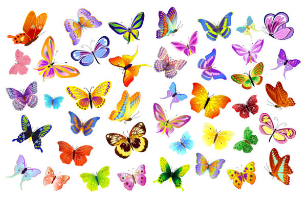 12 Butterfly Vector Free Download Images