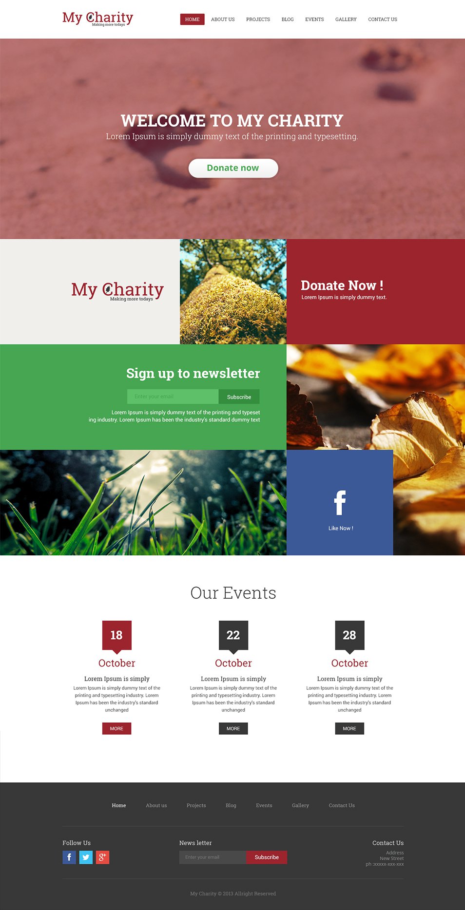 Free PSD Website Template Charity