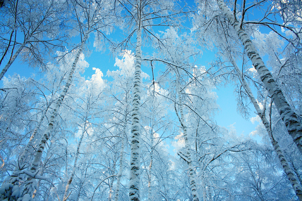 10 Free Stock Photography Winter Images