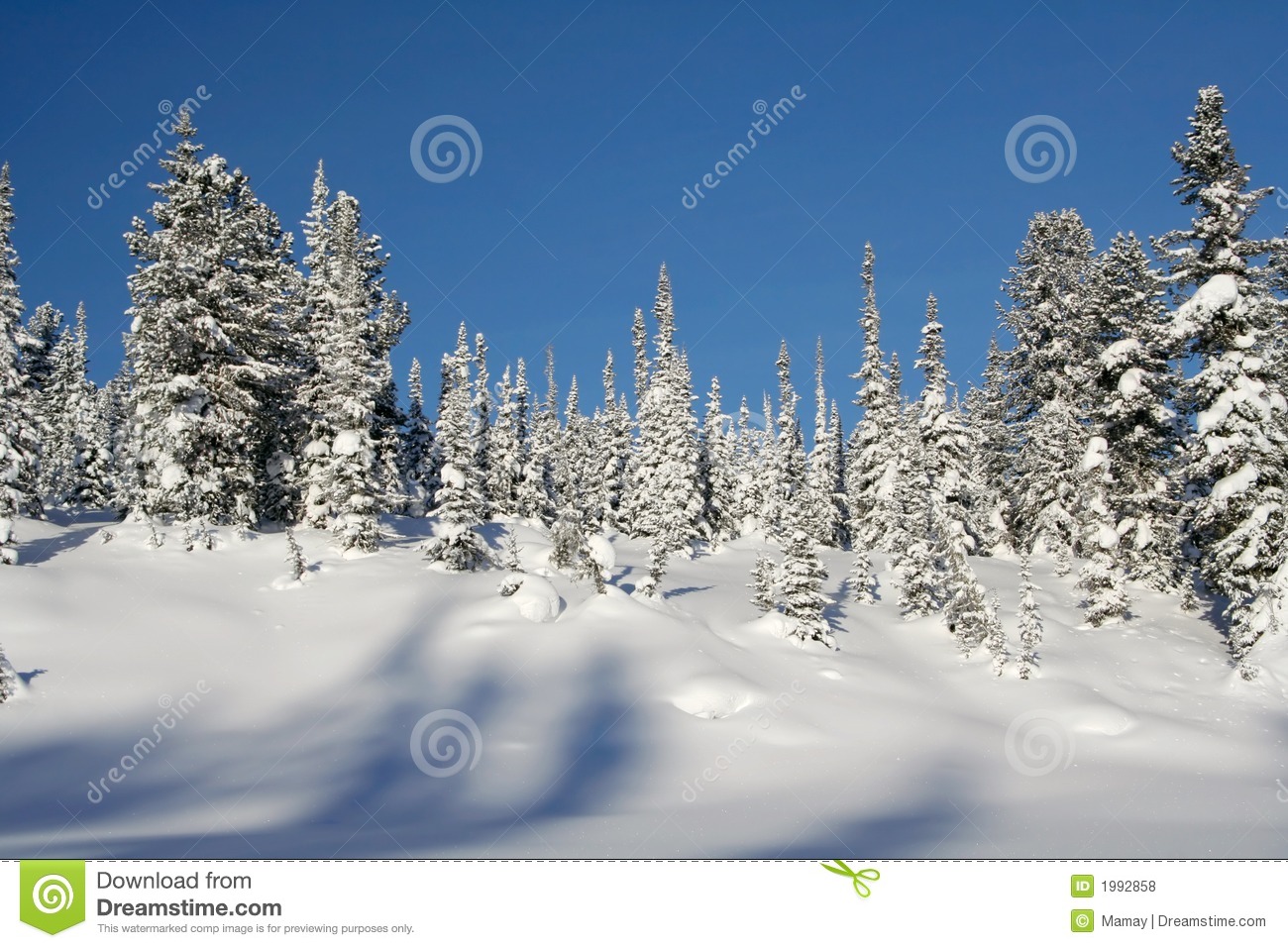 Free Winter Landscape Free Winter Landscape
