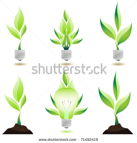 Growing Plant Vector Design Growing Plant Vector Design