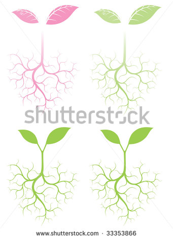 Growing Plant with Roots Vector Growing Plant with Roots Vector