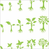 Growing Tree Graphic