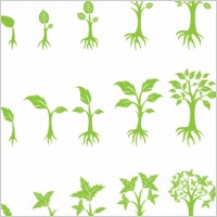 Growing Tree Graphic Growing Tree Graphic