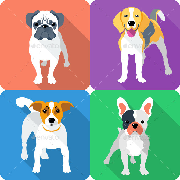 Icons Free Jack Russell Terrier