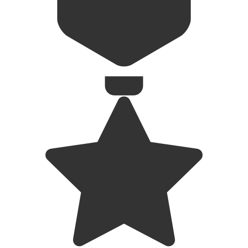 Military Medal Icon