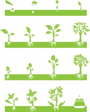 Money Growing On Trees Money Growing On Trees