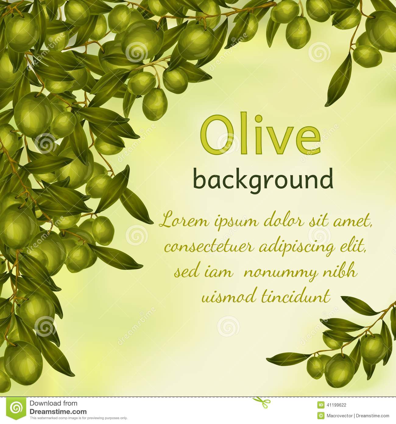 Olive Tree Branch Vector