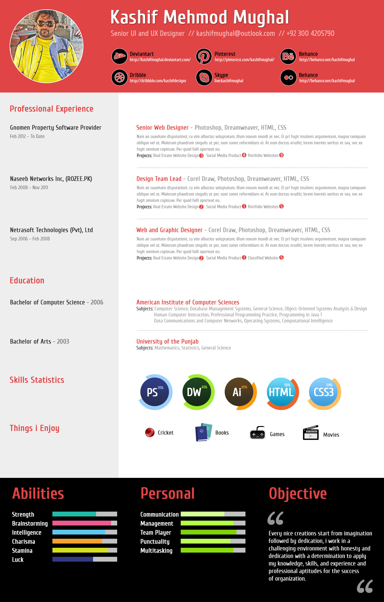 Professional Resume Template