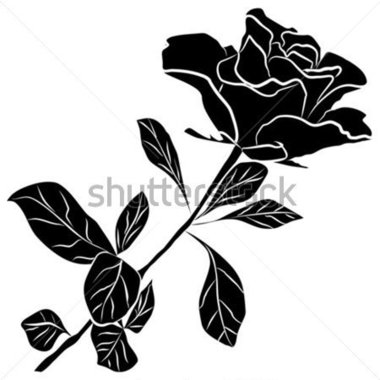 Single Rose Silhouette