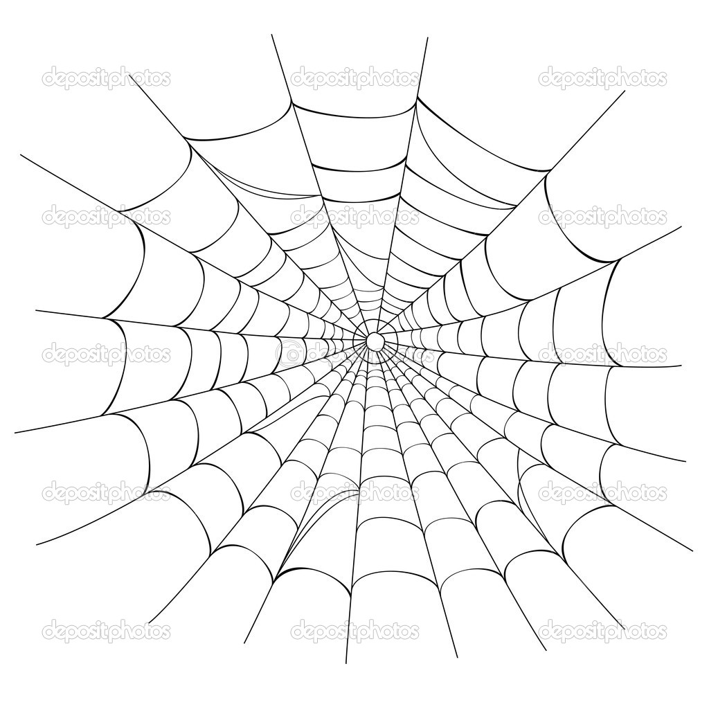 Spider Web Drawings Illustration