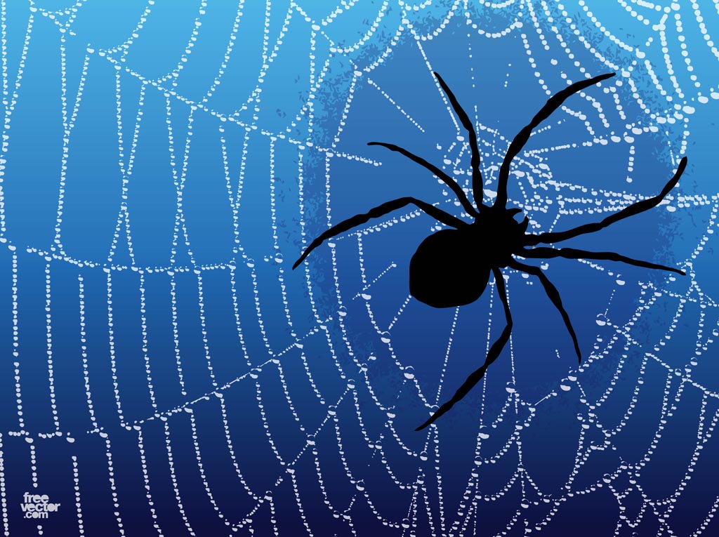 Spider Web Graphics