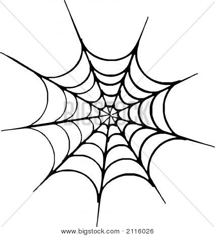 12 Spider Web Vector Art Images