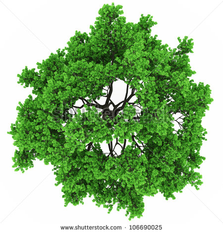 7 Vector Trees Plan View Images