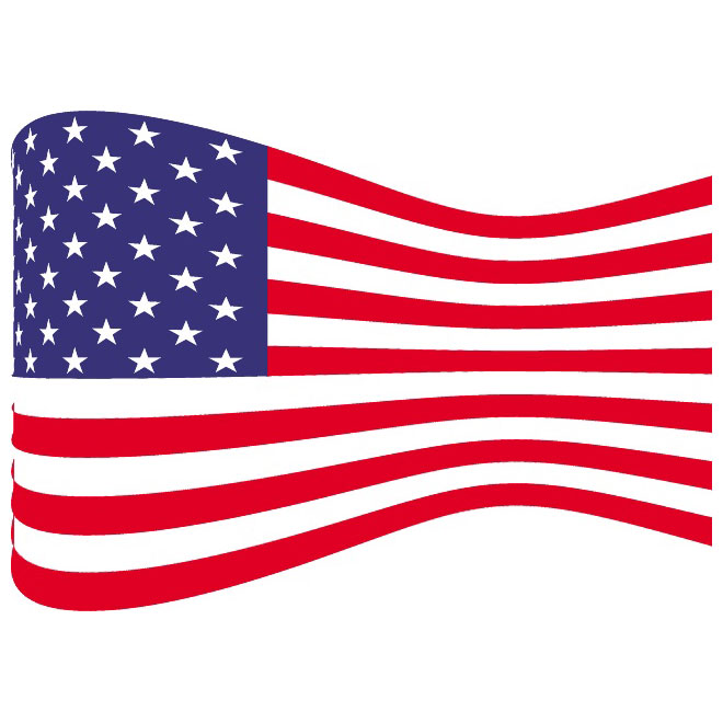 United States Flag Vector Free