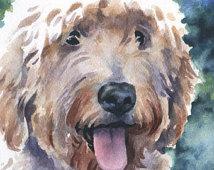 Watercolor Goldendoodle