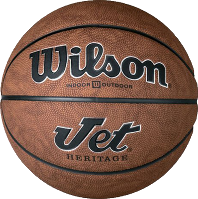 Wilson Basketball