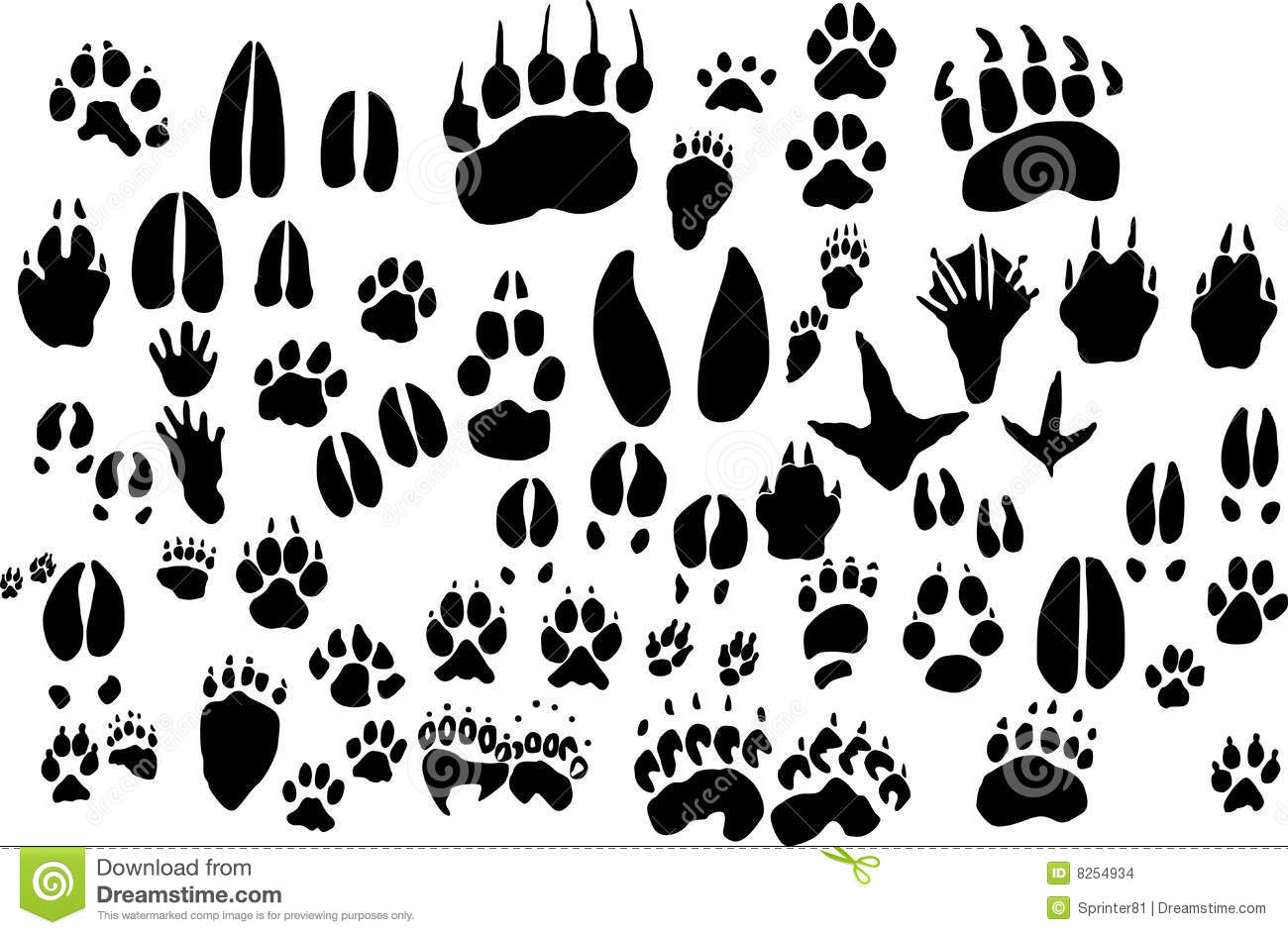 Animal Foot Print Outlines