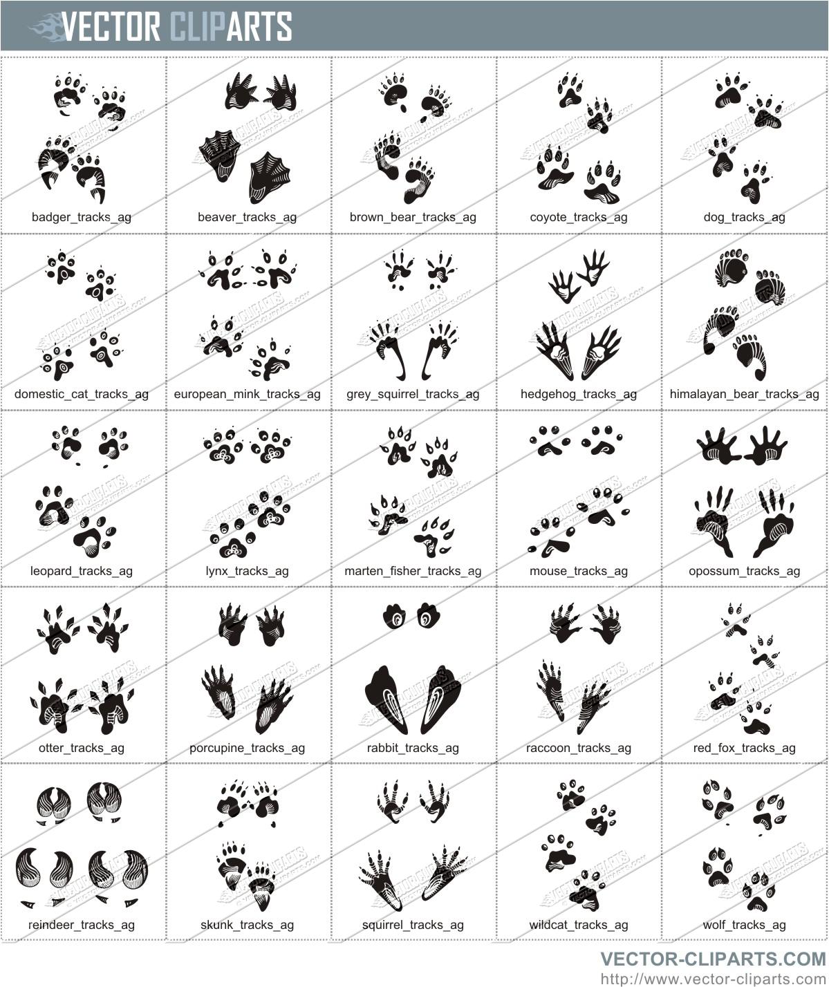 Animal Tracks Clip Art