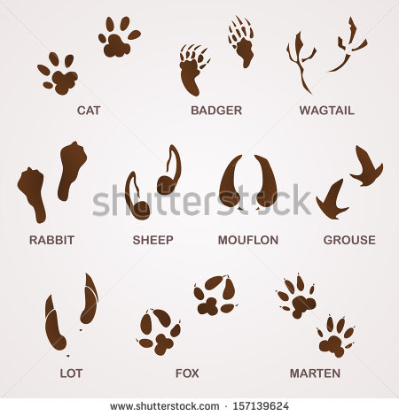 Animal Tracks Footprints Clip Art Animal Tracks Footprints Clip Art