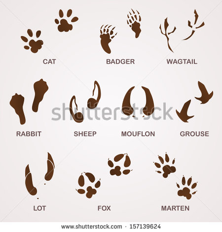 Animal Tracks Footprints Clip Art