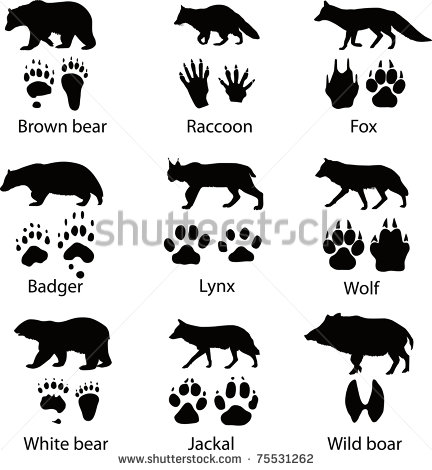 Animal Tracks Silhouette Clip Art