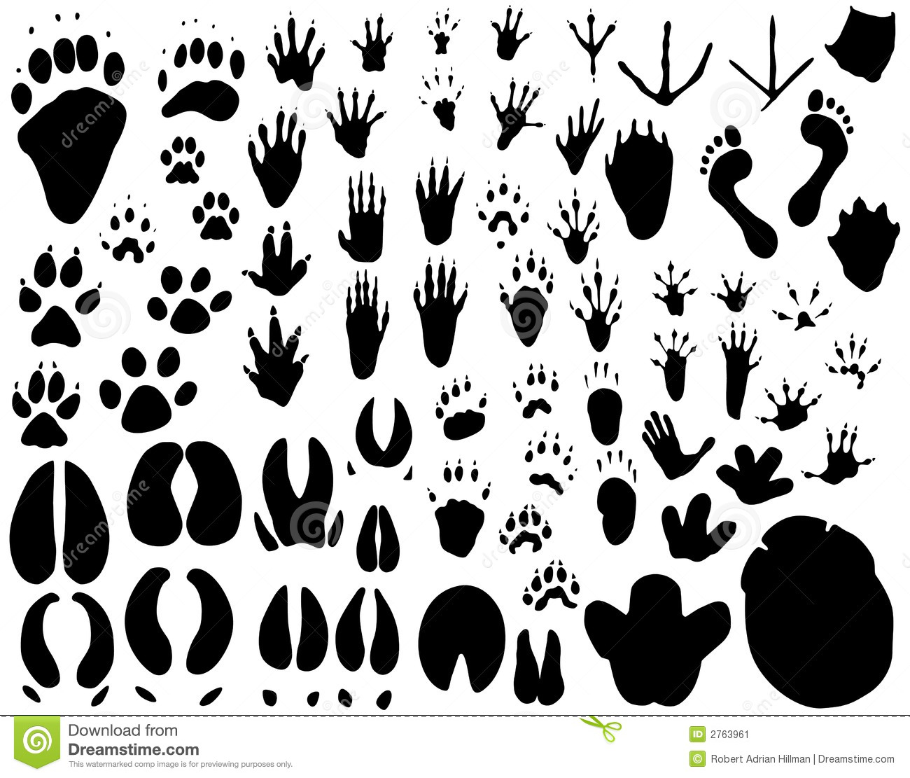 Animal Tracks Silhouette