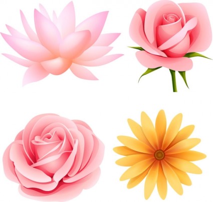 11 Beautiful Flowers Vector Free Download Images