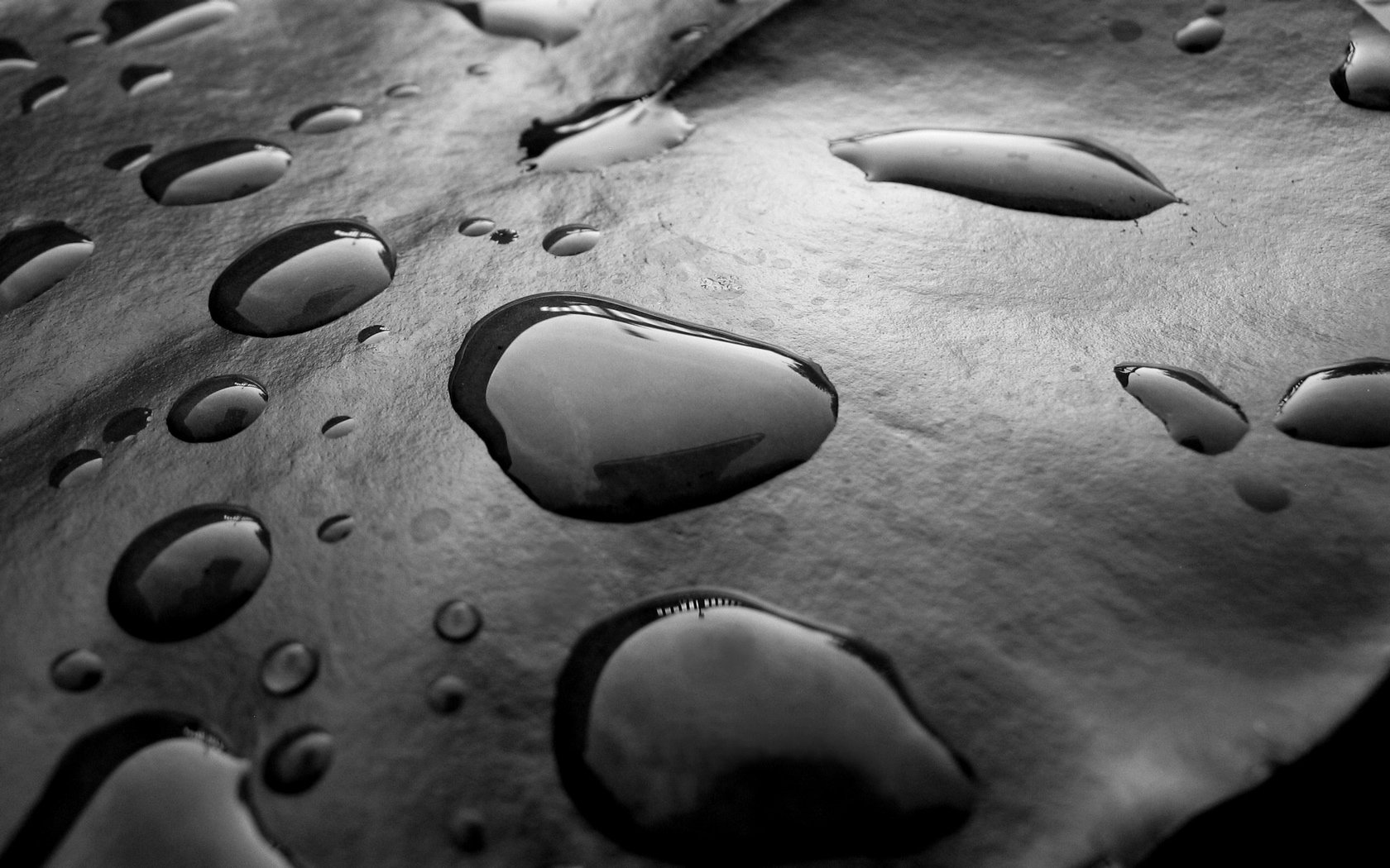 Black and White Raindrops