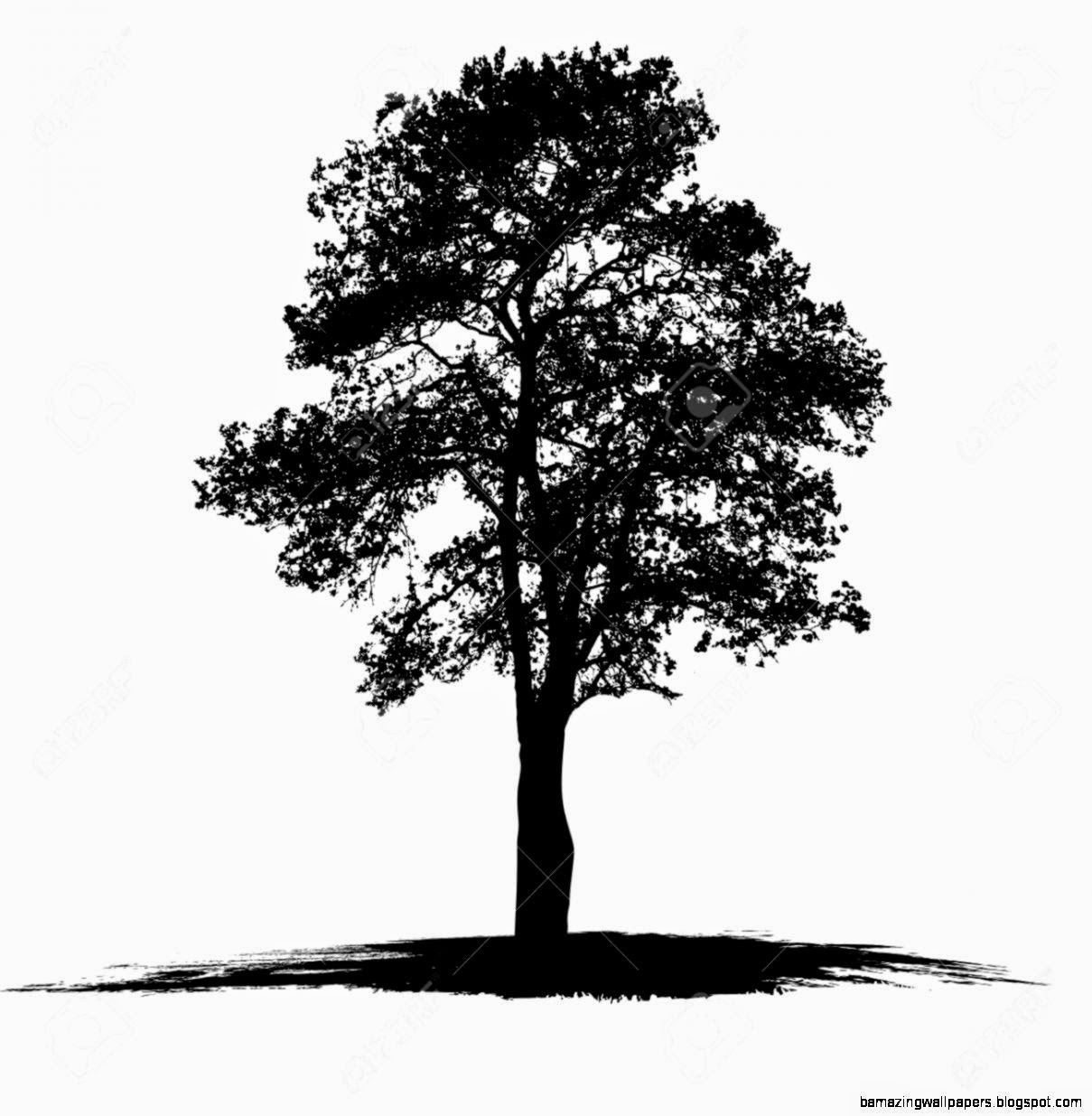 Black and White Tree Vector