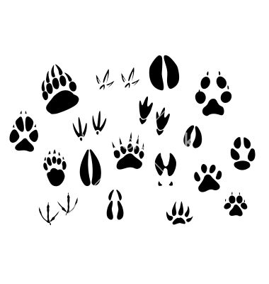 Cartoon Animal Footprints