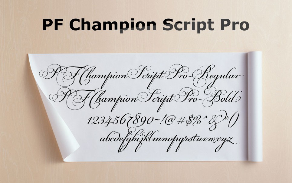 Champion Script Pro Font Free Download