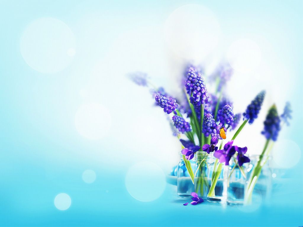 Free Elegant Lavender Backgrounds