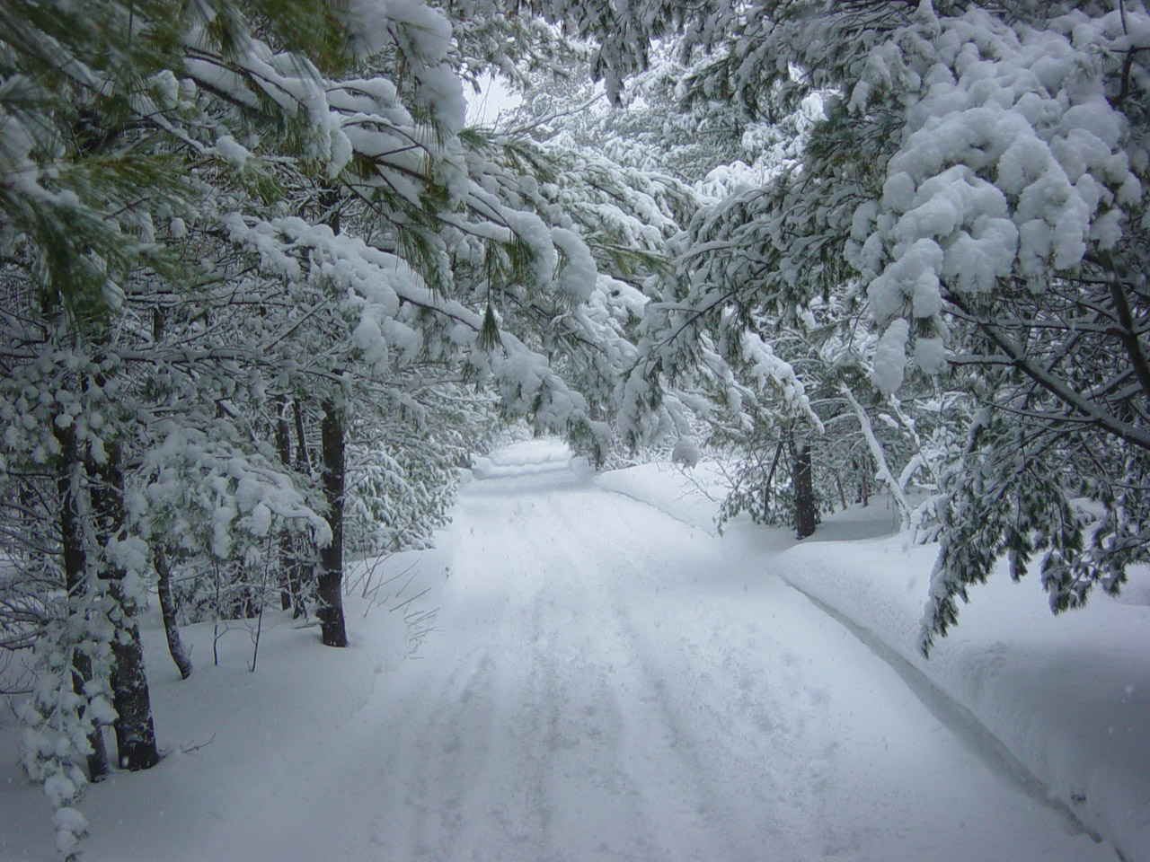 7 Winter Landscape Free Stock Photo Images