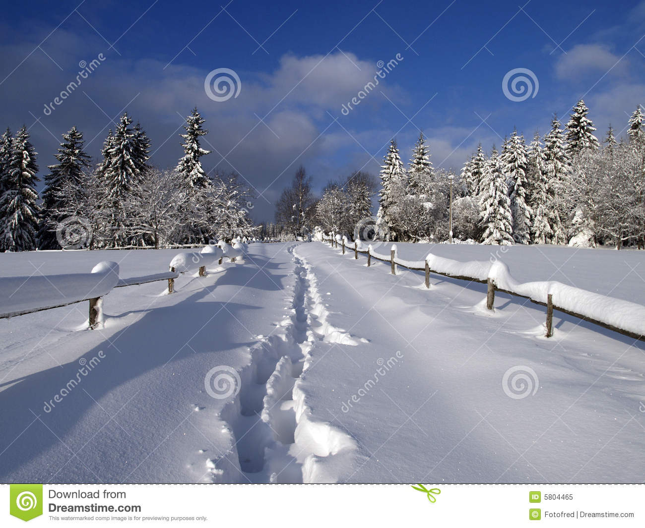 Free Winter Landscape