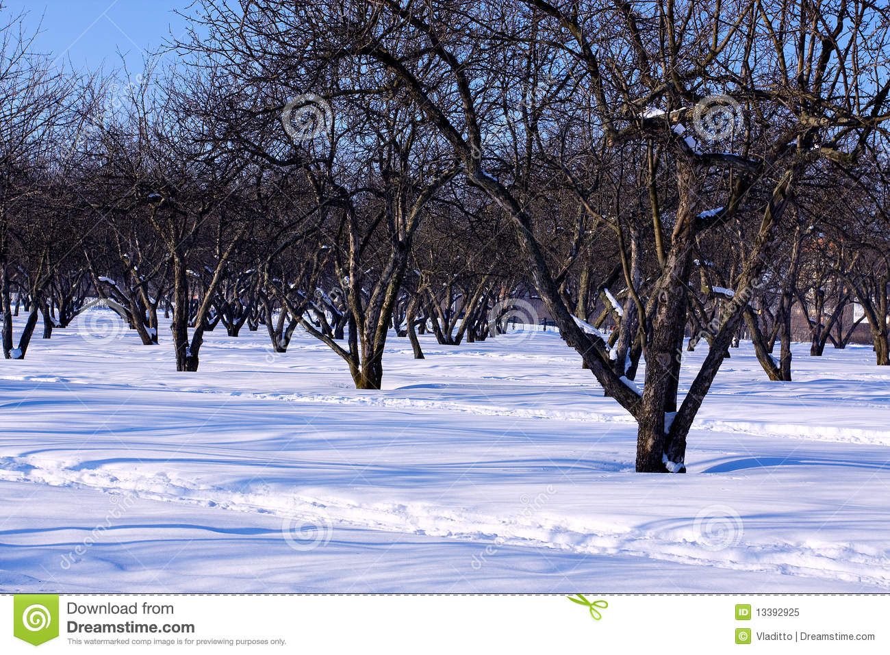 Free Winter Landscape