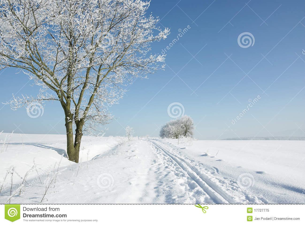 Free Winter Landscape