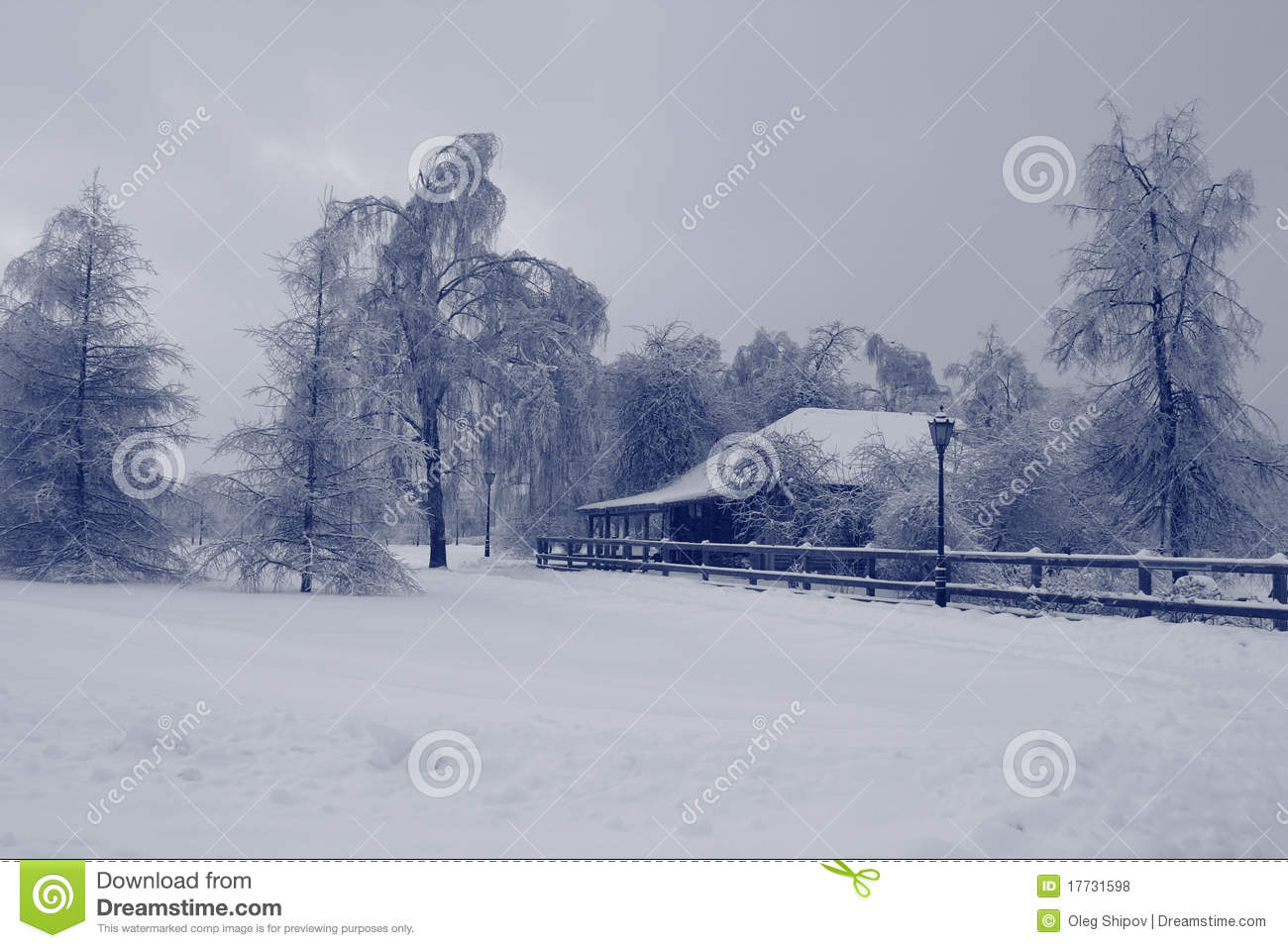 Free Winter Landscape