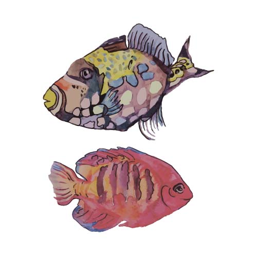 Image of Saltwater Fish Watercolor