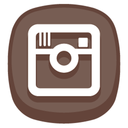 Instagram Icon