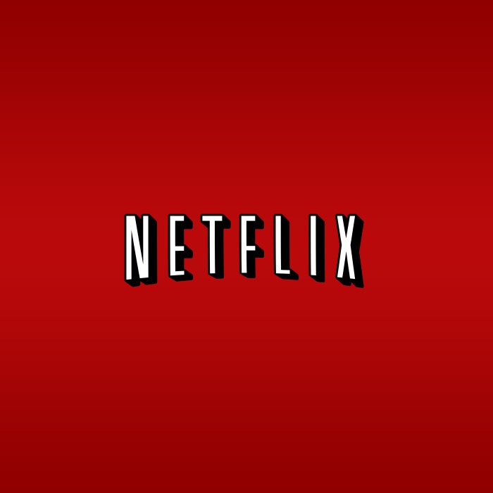 Netflix App