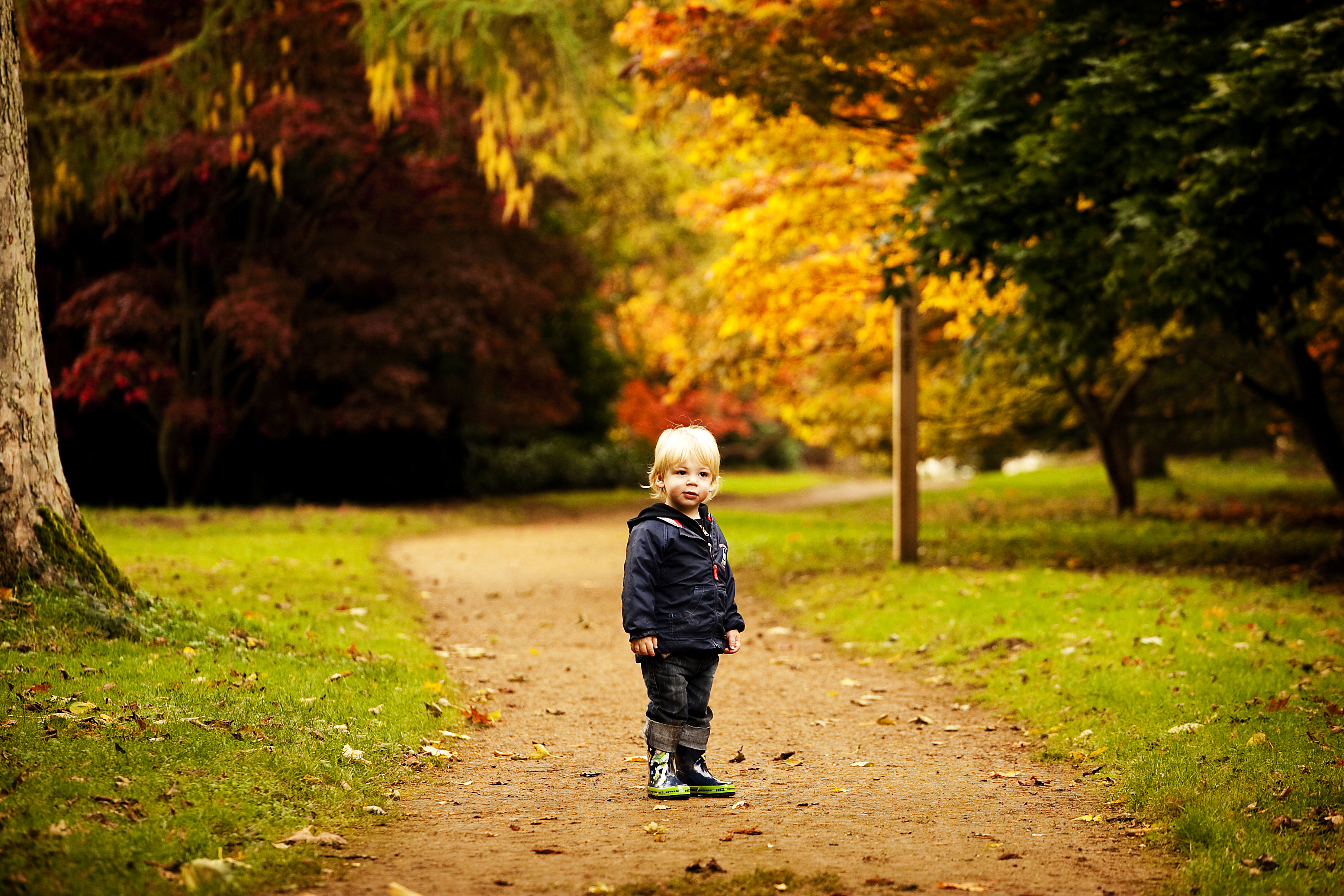 Outdoor Toddler Photography