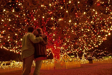 Romantic Couples Christmas Lights