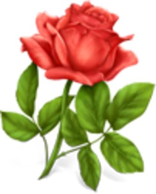 Rose Icon Rose Icon